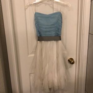 Blue and White Tulle Dress